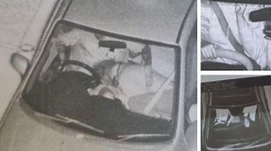 Truth behind Qld’s most amazing mobile camera fines