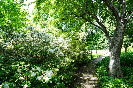 Spring 2026 is here! Here's what to know about today's vernal equinox