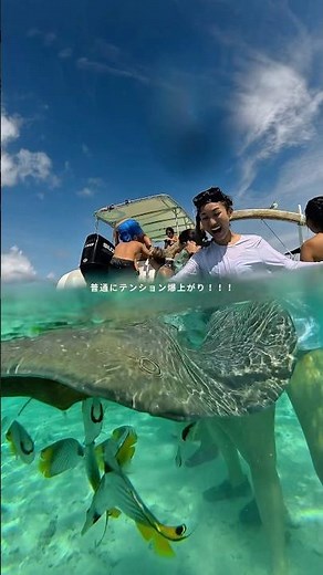 Bora Bora Marine Activities That Exceeded My Expectations 🌊