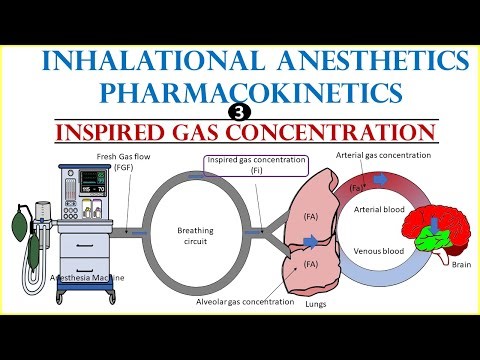 Inhalational Anesthetics Pharmacokinetic | Inspired Gas concentration(Fi)