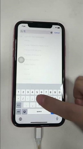iPhone Latest Bug In Settings Search Cause Springboard Crashed #bug #apple #iphone