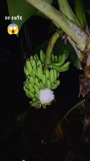 So Cute Nature Moments You Can't Miss