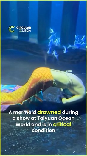 CircularXmedia on Instagram: "Tragic incident at Taiyuan Ocean World: A mermaid drowned during the show and is now in critical condition. Our thoughts are with her for a speedy recovery. 💔 #TaiyuanOceanWorld #MermaidShow #PrayersForRecovery #CriticalCondition #circularxmedia"