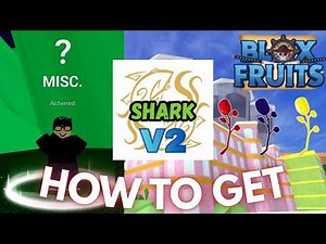How to Get Shark Race V2 in Blox Fruits 🦈#roblox #bloxfruits