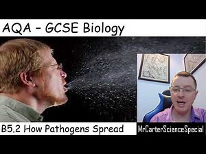 B5.2 - How Pathogens Spread - AQA Biology GCSE 9-1