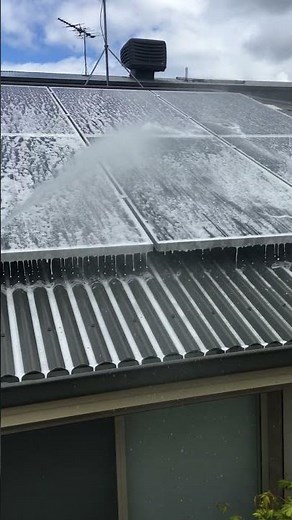 Solar Panel Moss Treatment Application