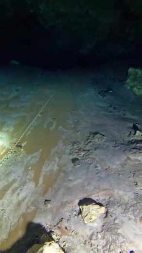 What's ahead to the right? #cavediving #florida #extreme #adventure #HiddenRivers #scuba #caves | Sidemount Diving