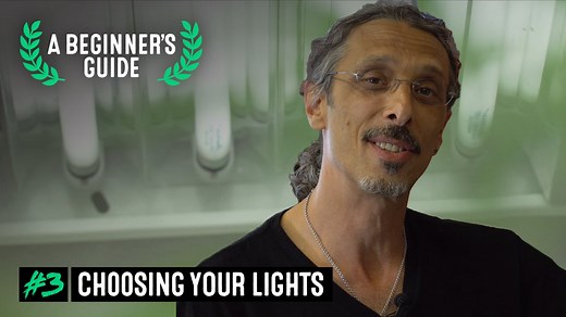 EP 3 - Cannabis Grow Lights Guide - A Beginner's Guide with Kyle Kushman