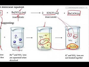 Beginning Chemistry - How to Write Total and Net Ionic Equations