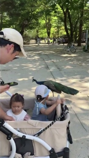 남이섬 당일치기!!!