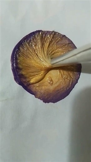 CIRCLE, ACRYLIC WITH METALLIC GOLD, MAUVE COLOURS.PAINTINGS.