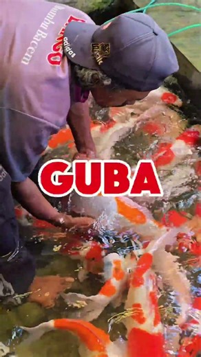 Dari satu kolam, beberapa yang dipilih Bukan karena yang lain jelek tapi karena menentukan standar