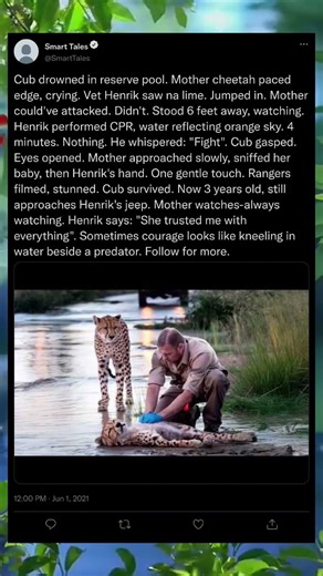 They Chose Trust as the Sun Went Down 😱🌅 #viralshorts