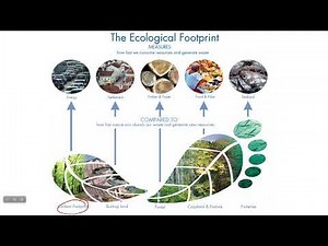 5.11 Ecological Footprints