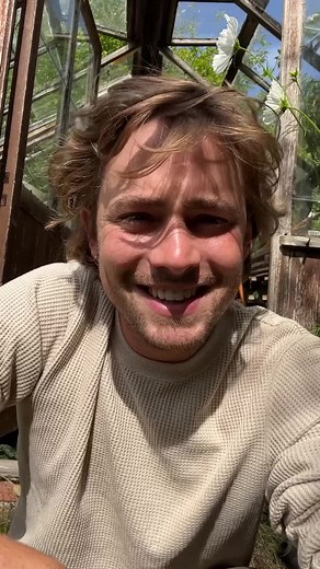 Easy Homemade Hummus Recipe