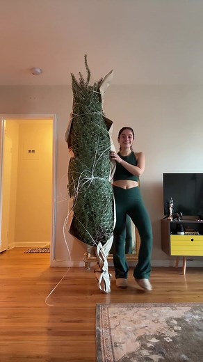 Decorating My Christmas Tree: A Fun Holiday Adventure
