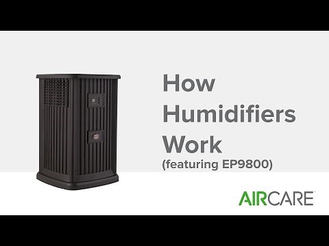 How Humidifiers Work (featuring EP9800)