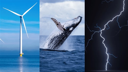 Infrasound: The Noise That Travels Further Than Any Other On Earth