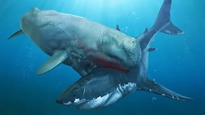 The sea beast whose brutality rewrote the story of ocean life