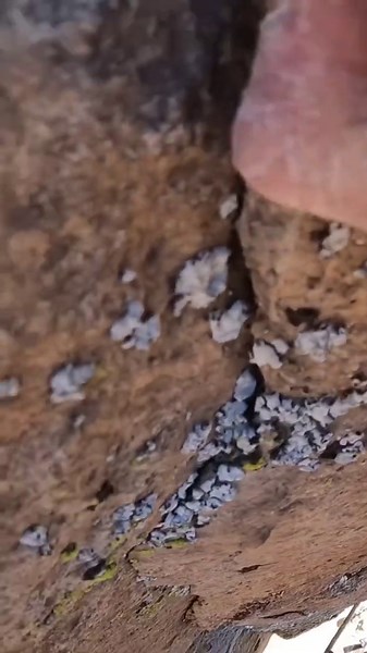 Lead Climbing Fall outdoors