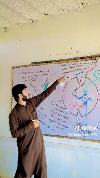 10th Class Study Tips for Academic Success