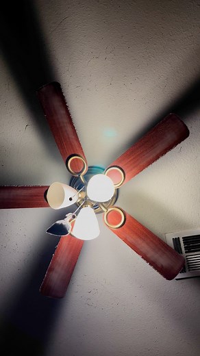 Friendly reminder to clean your ceiling fans. Don’t turn it off if it’s been on for while, or do, but watch out for falling chunks of dust if you do. “When you turn off the ceiling fan for the first time in a while. Now, you have to clean it.. and the ceiling.” #CeilingFan #Fan #Dusty #Dusting #DustyHouse #dirty ￼#vacuuming | Cate Fritz