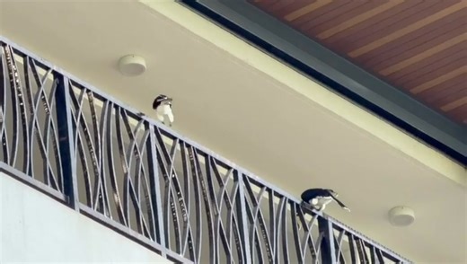 6.3K views | Eastwood Valley Golf & Country Club on Reels | Facebook