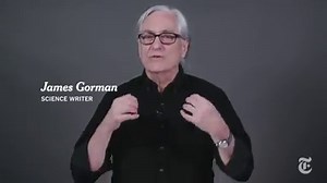 1M views · 368 reactions | You'll never think of a hummingbird's beak the same way ever again: https://nyti.ms/2HRezVT | ScienceTake | Facebook