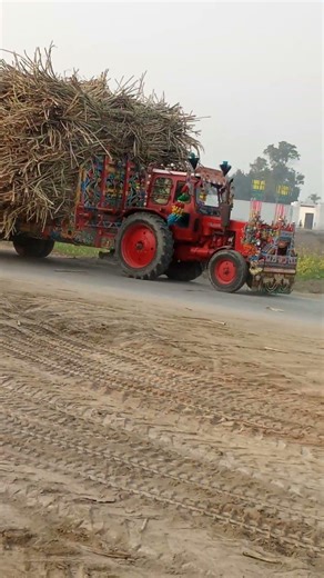 Belarus 510 russian tractor pulling video 🔥 #tractorpulling #tractor #tractorvideo #shortvideo