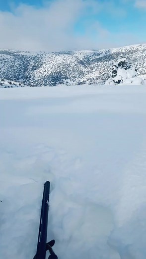 Serene Winter Landscape in Snowy Mountains