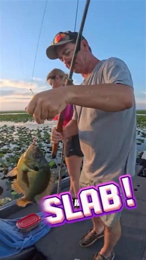 Slab Fest on Lake Kissimmee!