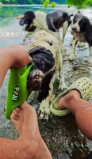 每次都要教你🤪