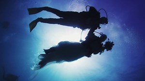 This underwater bride made quite an entrance, just watch! It's so nice to see the beauty of Key West, Florida being enjoyed following Hurricane Irma. What is the most unusual location you've attended a wedding? | Ashleigh Walters