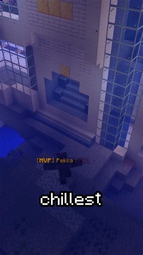 Most Chill Server #minecraft
