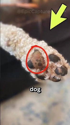 Incredible Rare Photos That Show the Hidden Beauty in Everyday Life! | 10