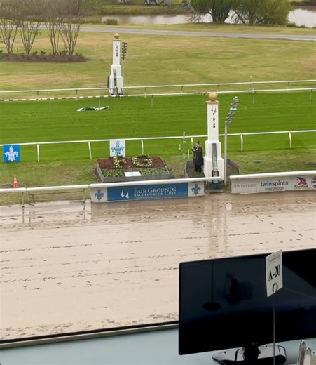 Liza || NOLA Food & Drink on Instagram: "Camels, and zebras, and horses, oh my! Such a fun time at the @fairgroundsnola this weekend for exotic animal races 🐪🦓🏇 All food and bev is now provided by @messinascateringandevents, so you know it’s going to be a good tasting time too! When you go, be sure to check out the newly renovated paddock, refreshed Tenacious Bar, new Ultra Lounge, and a handful of other improvements P.S. the next exotic animal race day is Jan 31 but ther