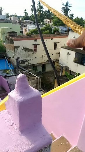 Praba Praba (@prabapraba07)’s videos with Believer - Kaskade Remix - Imagine Dragons & Kaskade