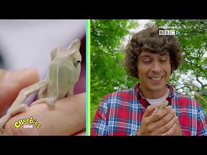 Andy's Wild Adventures, weekdays at 9:25pm (SG/HK) - CBeebies Asia