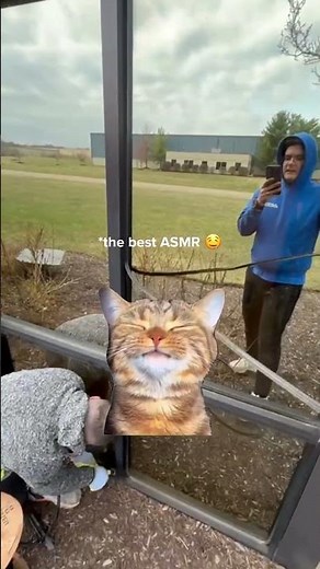 Aluminum Window Weatherstripping Replacement in Ohio – Precise, Professional & Problem-Solving!