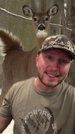 Why do Deer Stomp? #huntersadvantage