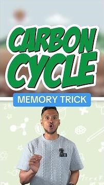 GCSE Biology Paper 2: Carbon Cycle Memory Trick 🌍