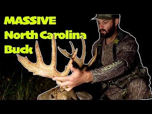 Pre-Season Land Management That Grows GIANT Whitetail Bucks