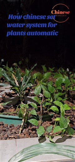 See how chinese set automatic system for watering the plants 🪴 #chinalife #chineseculture #viral #plants #water