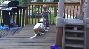 Little Girl Charlotte Dancing With Her Basset Hound Dog Zoe | Therapy Pet