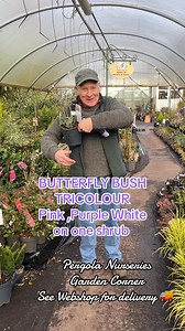 14K views · 239 reactions | #addWEBSHOP...