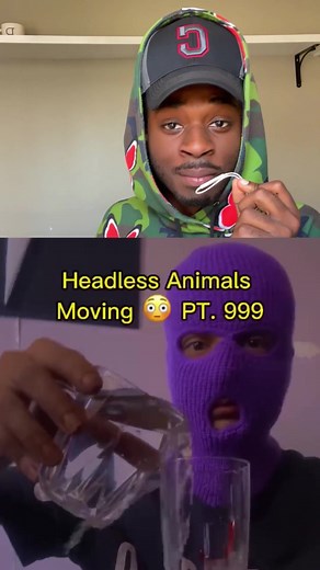 Headless animals moving #animals #scary #crazy