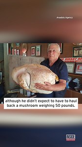 In 2021 a man foraging for edible mushrooms in the Taurus Mountains of Turkey came upon this 52 pound mushroom. | Inside Edition