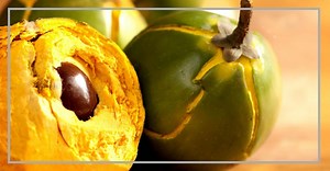 Lúcuma: 7 Beneficios Y Propiedades Geniales » 2026