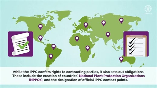 What are National Plant Protection Organizations (NPPOs) and why are they important? | IPPC | International Plant Protection Convention