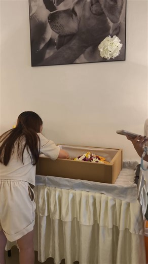 🌈 Saying goodbye is never easy, but doing it with love… means we won’t carry regret. 有些离开， 不是因为我们准备好了， 而是爱还有最后一件事想完成—— 陪他好好走完这一段路。 当家人站在一起， 轻轻道谢、轻声告别、 那一刻不是结束， 而是把思念，变成温柔的继续。💛 🐾 GoodbyeBuddy道别 —— 为爱好好告别 · 不留遗憾 #疗愈美学 #好好说再见 #仪式感 #情感疗愈 #珍惜当下 | GoodbyeBuddy道别